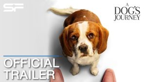 A Dog's Journey หมา