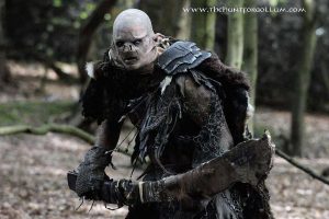 The Hunt for Gollum