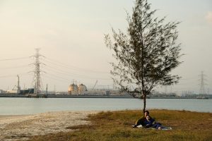 รีวิวหนัง "A Useful Ghost