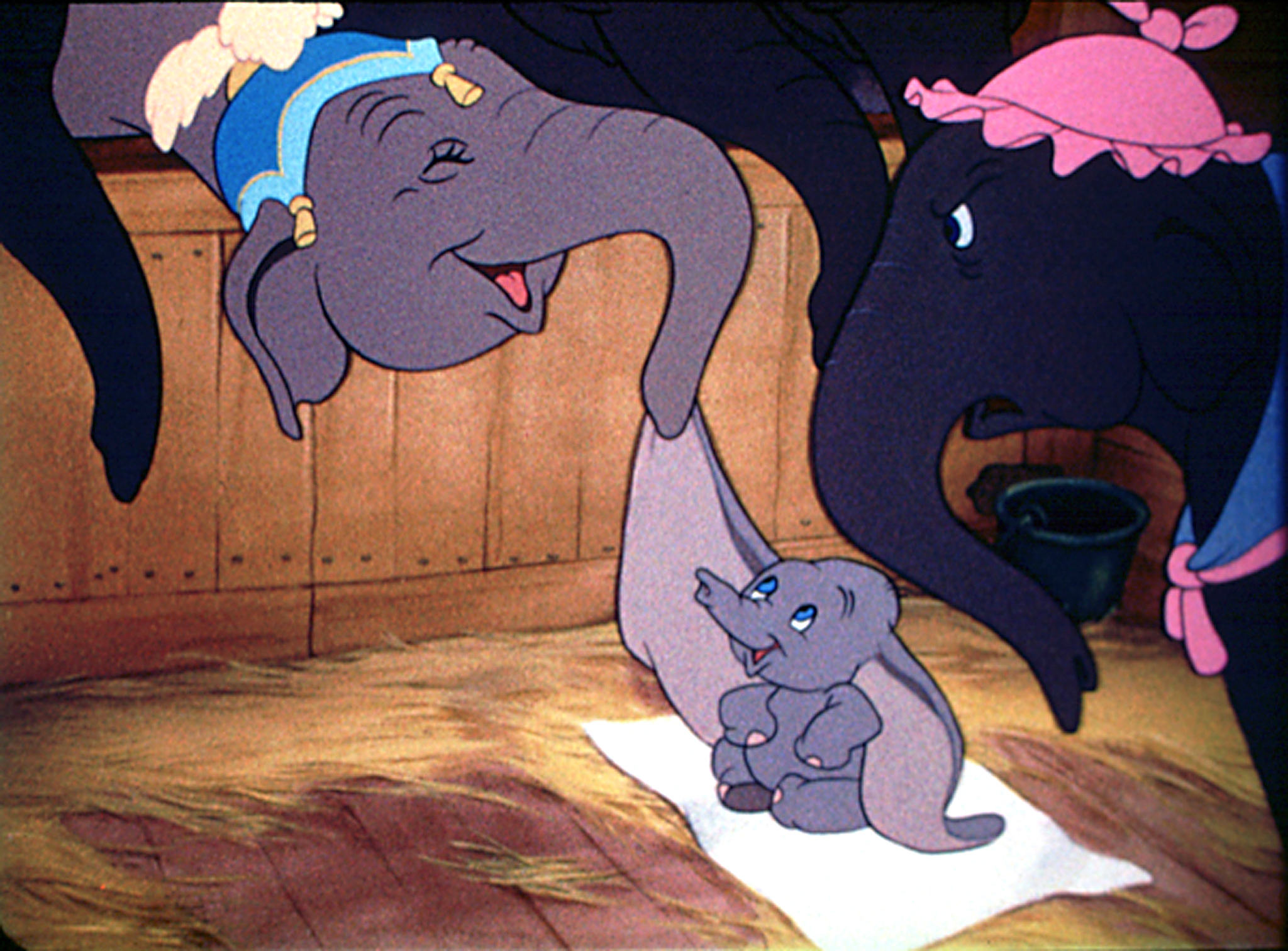 Dumbo