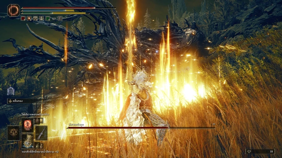 Elden Ring Shadow 
